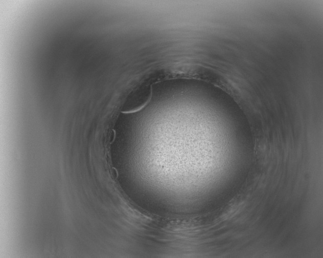 X0000066960817200604072002