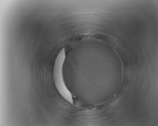 X0000066960818200604072002