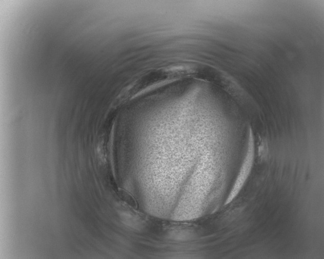 X0000066960819200604072002