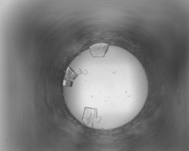 X0000066960820200604072002