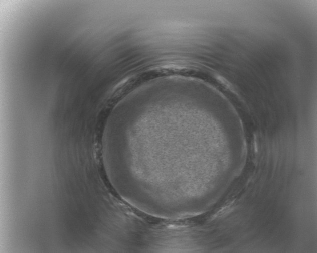 X0000066960822200604072002