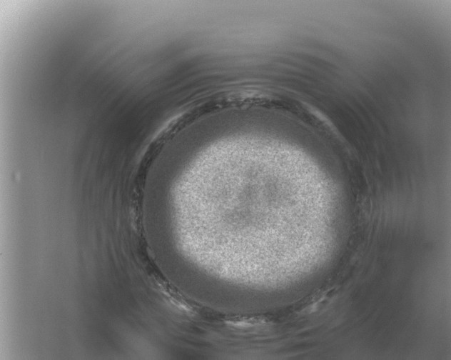 X0000066960823200604072002