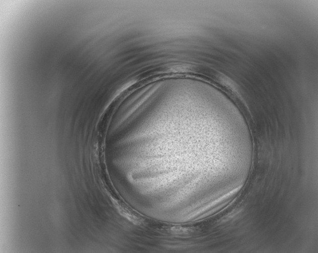 X0000066960827200604072002