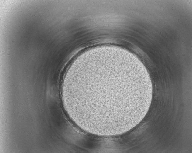 X0000066960828200604072002