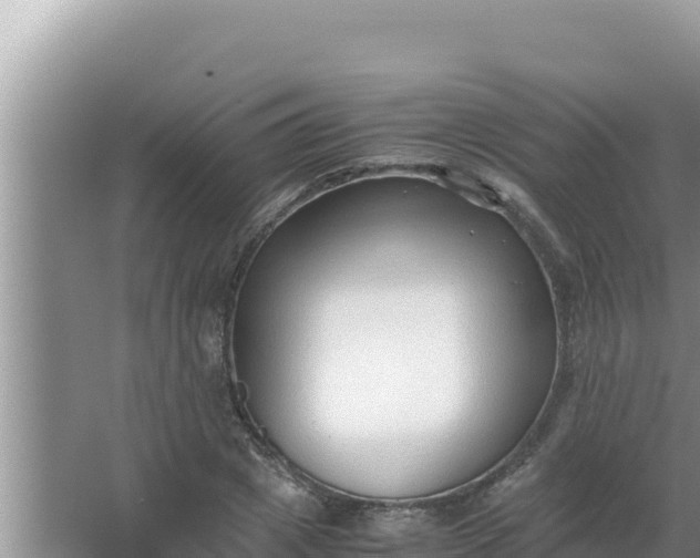 X0000066960833200604072002