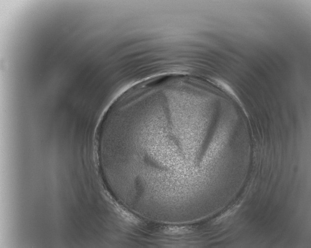 X0000066960835200604072002