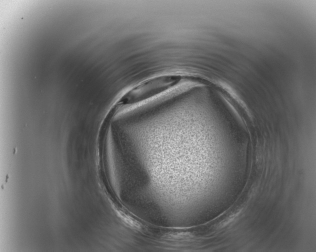 X0000066960837200604072002