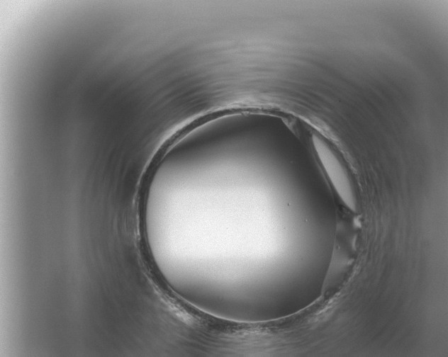 X0000066960838200604072002