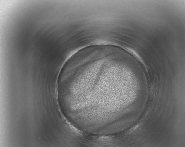 X0000066960839200604072002