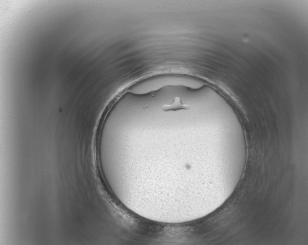 X0000066960840200604072002