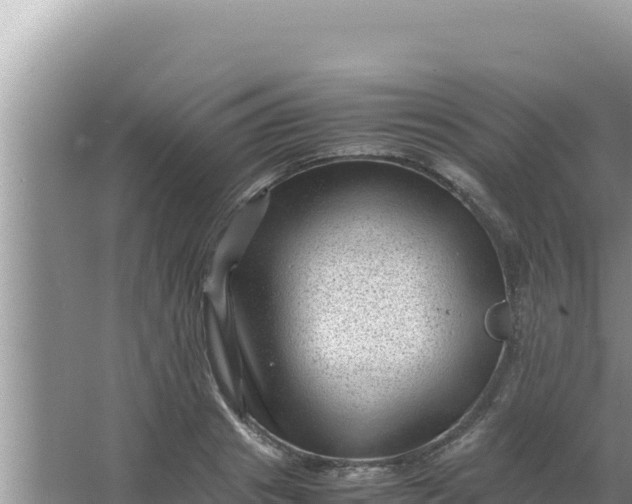 X0000066960841200604072002