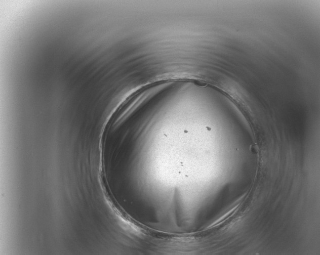 X0000066960844200604072002