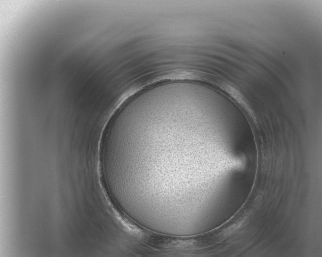 X0000066960845200604072002