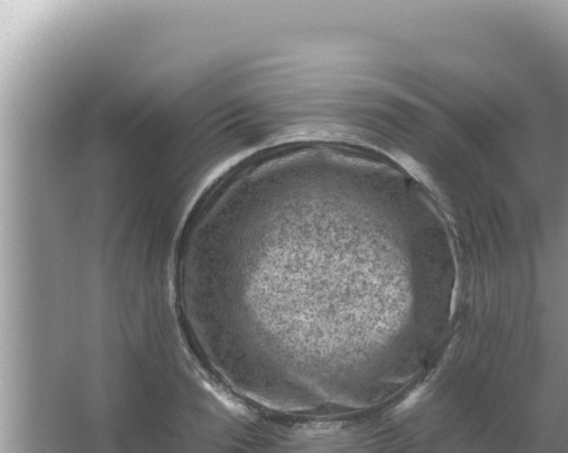 X0000066960846200604072002