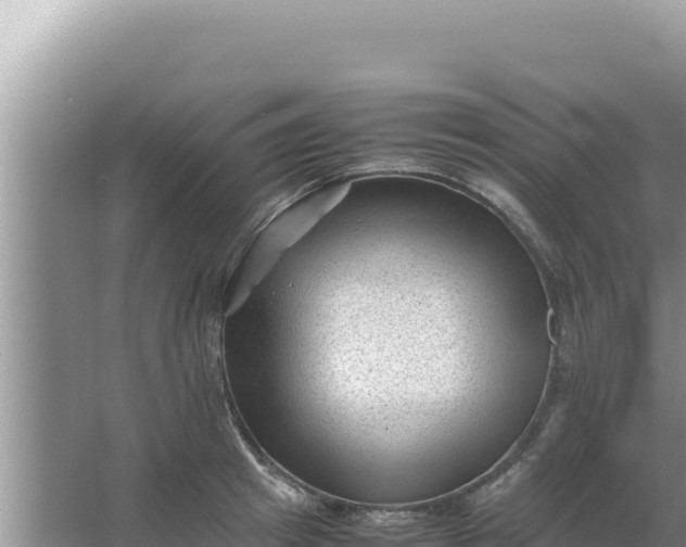 X0000066960849200604072002