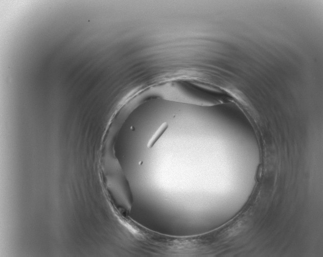 X0000066960850200604072002