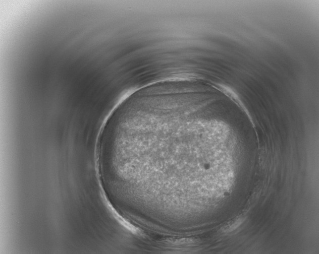 X0000066960851200604072002