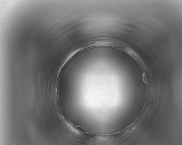 X0000066960852200604072002