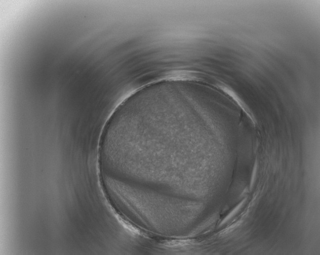 X0000066960853200604072002