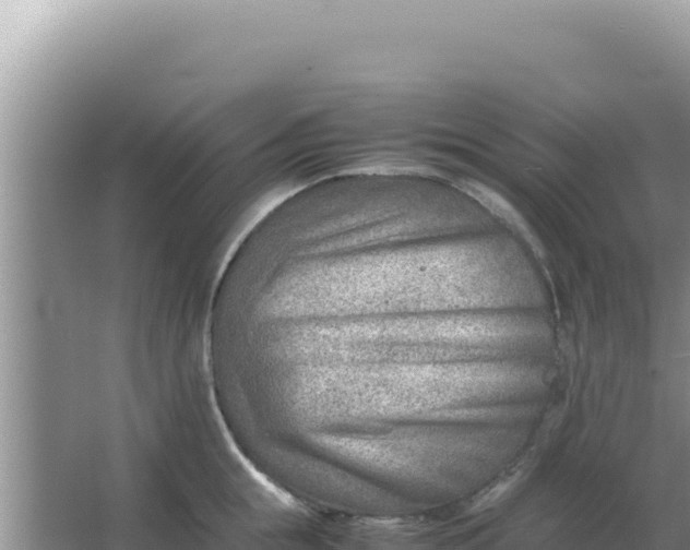 X0000066960855200604072002