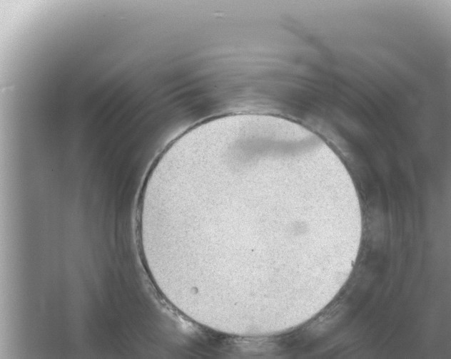 X0000066960856200604072002