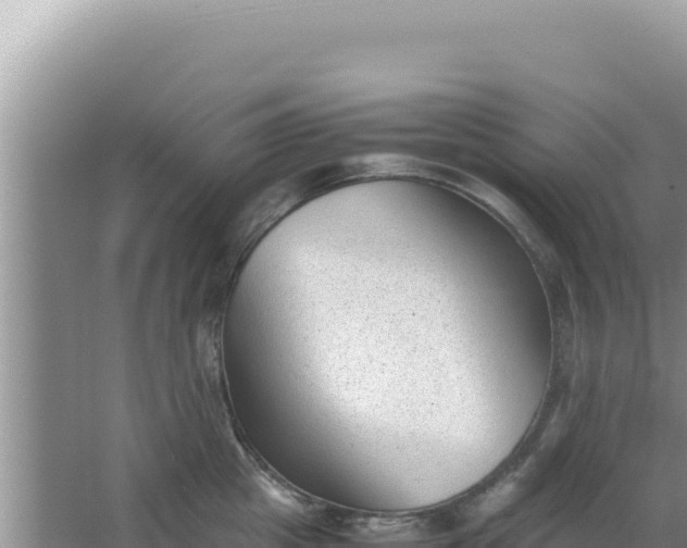 X0000066960857200604072002