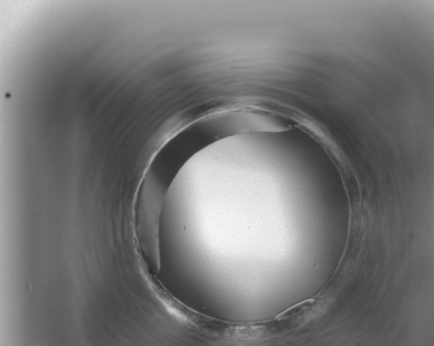 X0000066960858200604072002