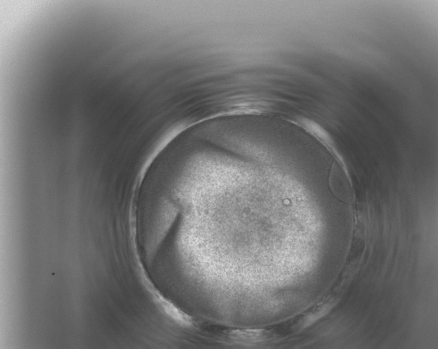 X0000066960859200604072002