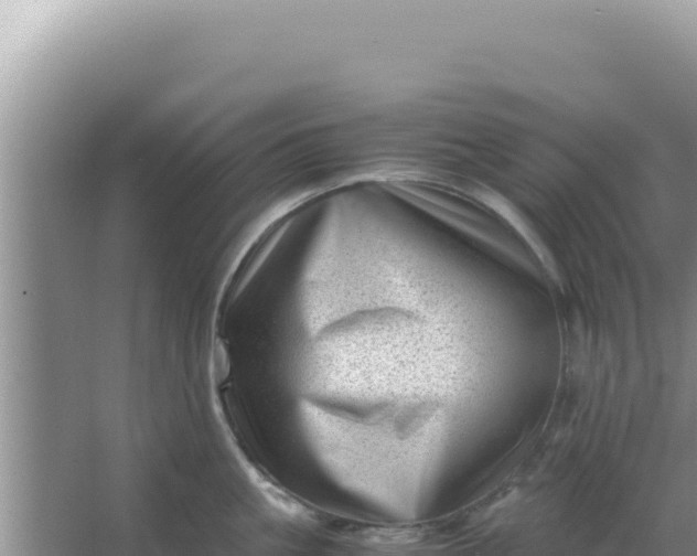 X0000066960861200604072002