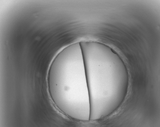 X0000066960864200604072003