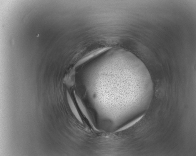 X0000066960866200604072002