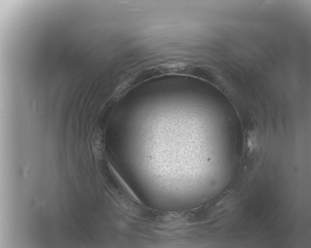 X0000066960867200604072002