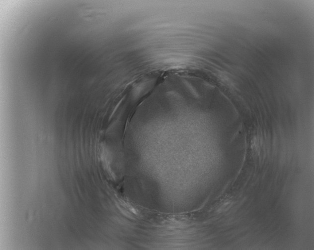 X0000066960868200604072002