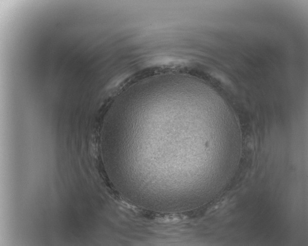 X0000066960869200604072002