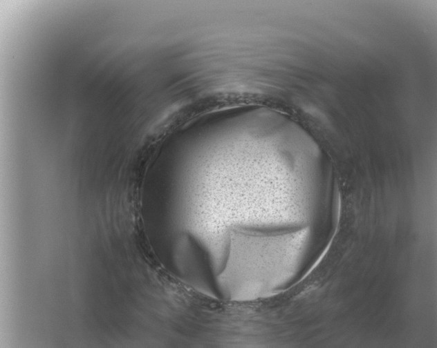 X0000066960870200604072002