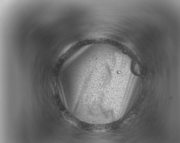 X0000066960871200604072002