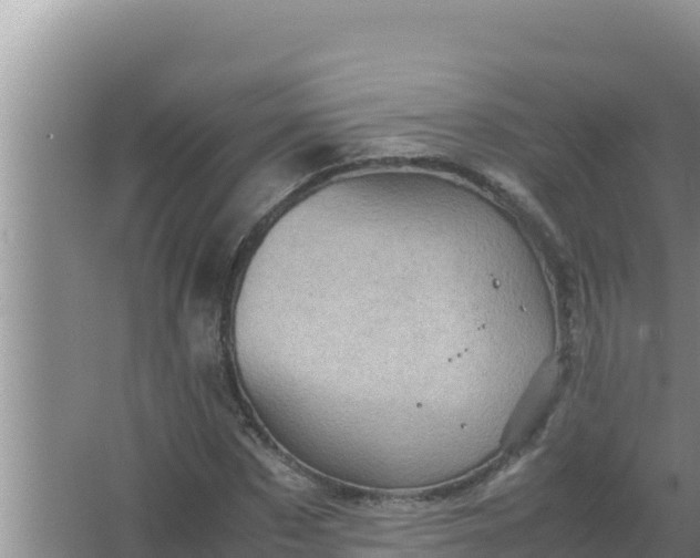 X0000066960873200604072002