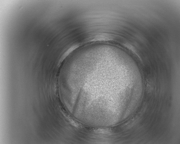 X0000066960874200604072002