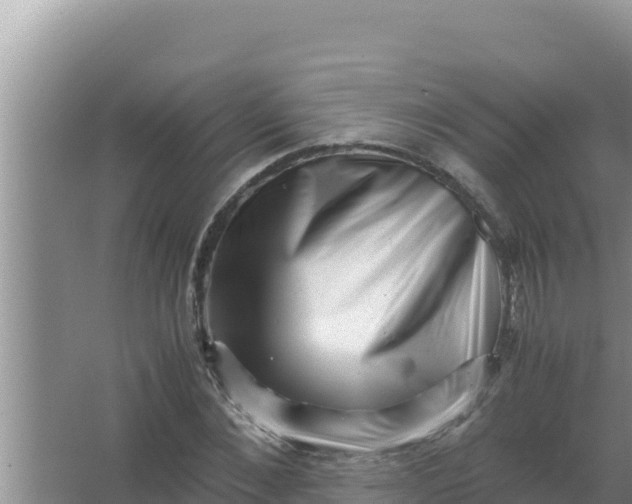 X0000066960876200604072002