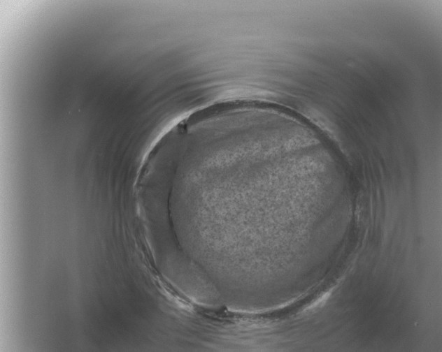 X0000066960877200604072002