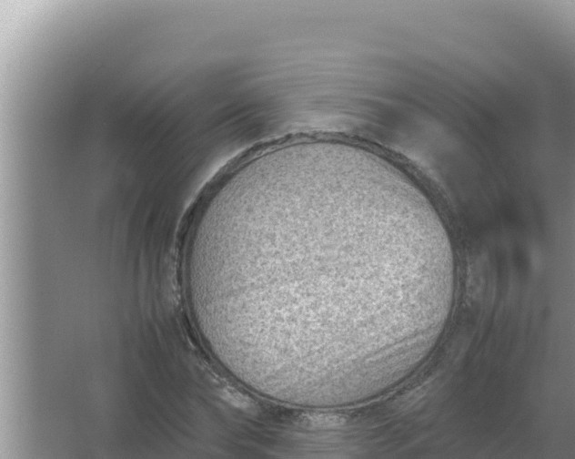 X0000066960878200604072001