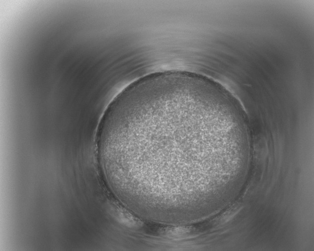 X0000066960879200604072001