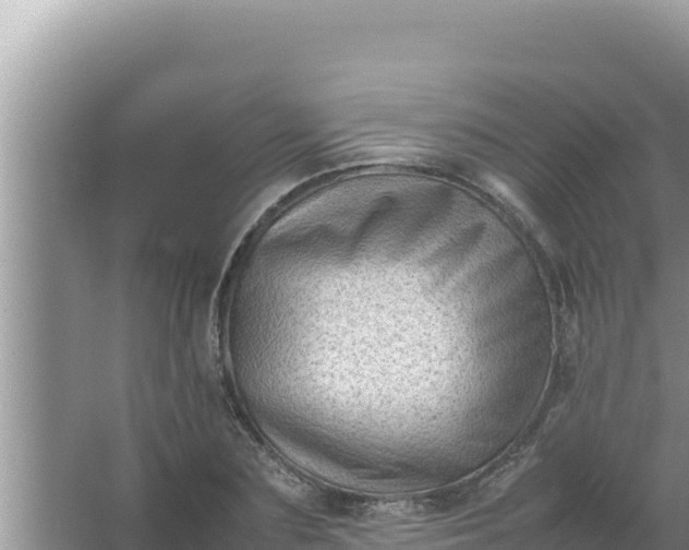 X0000066960883200604072001