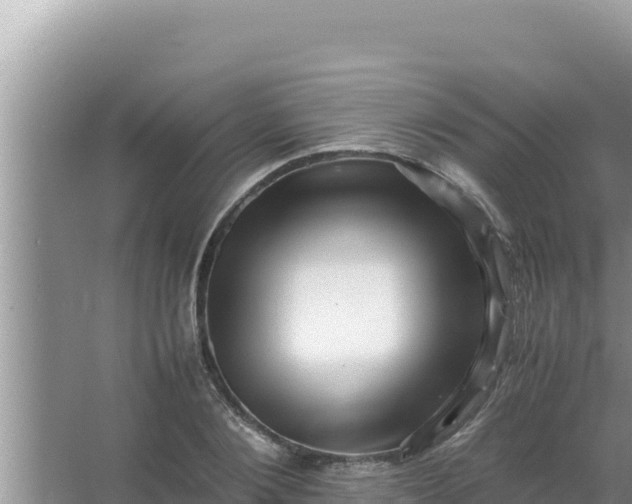 X0000066960884200604072001