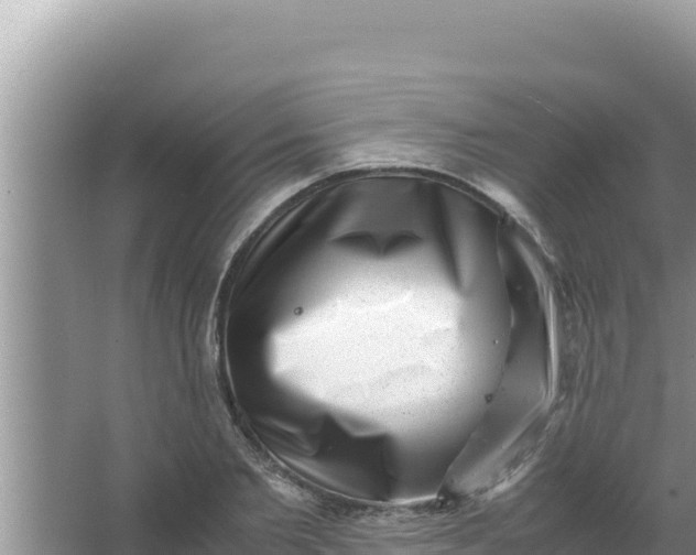 X0000066960885200604072001