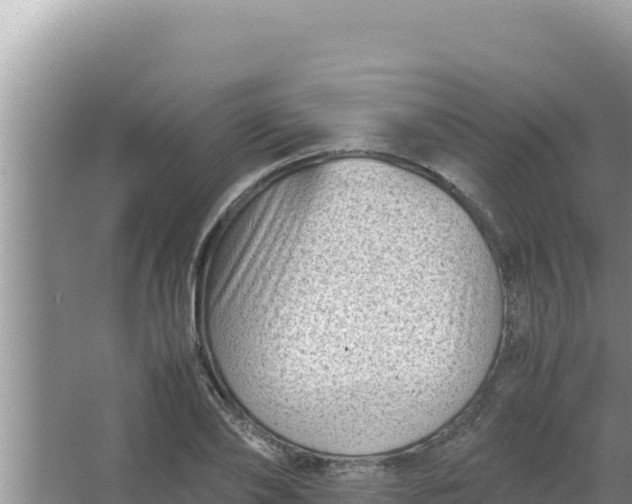 X0000066960886200604072001