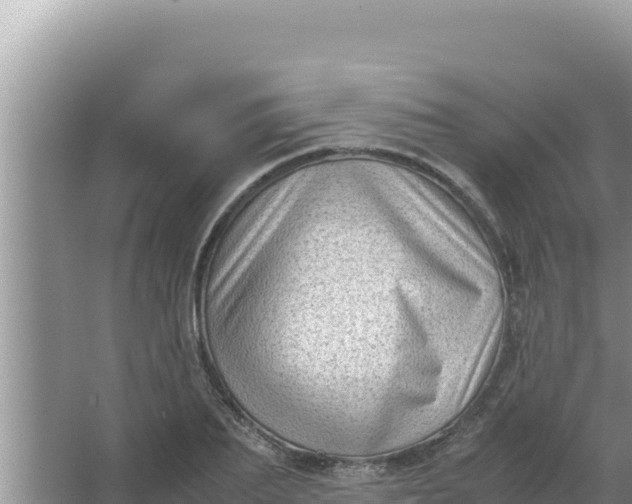 X0000066960887200604072001