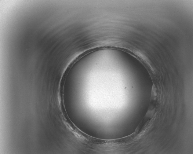 X0000066960888200604072001