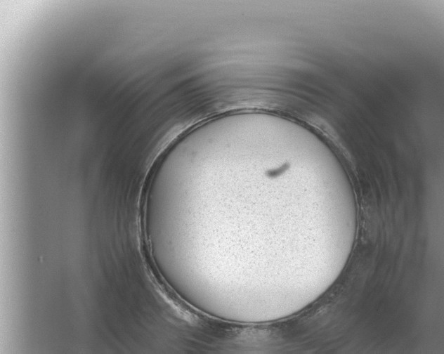 X0000066960890200604072001