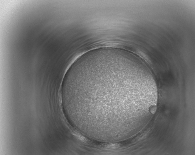 X0000066960891200604072001